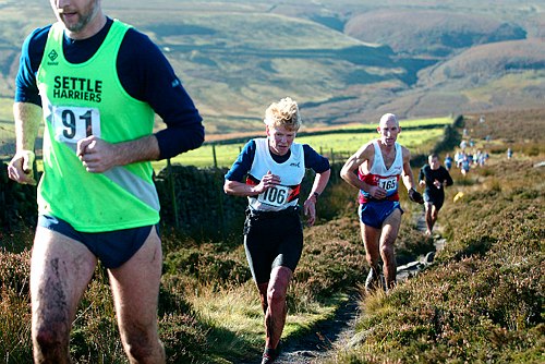 Photo withins - d.jpg copyright © 2025 David Brett